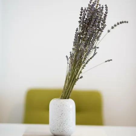 Apartman Lara 2 Διαμέρισμα Μόσταρ